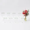 Olive Rim Swirl Glassware Set|Mrs. Alice Best