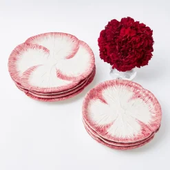 Pink Capri Lettuce Starter Plate (Set Of 4)|Mrs. Alice New