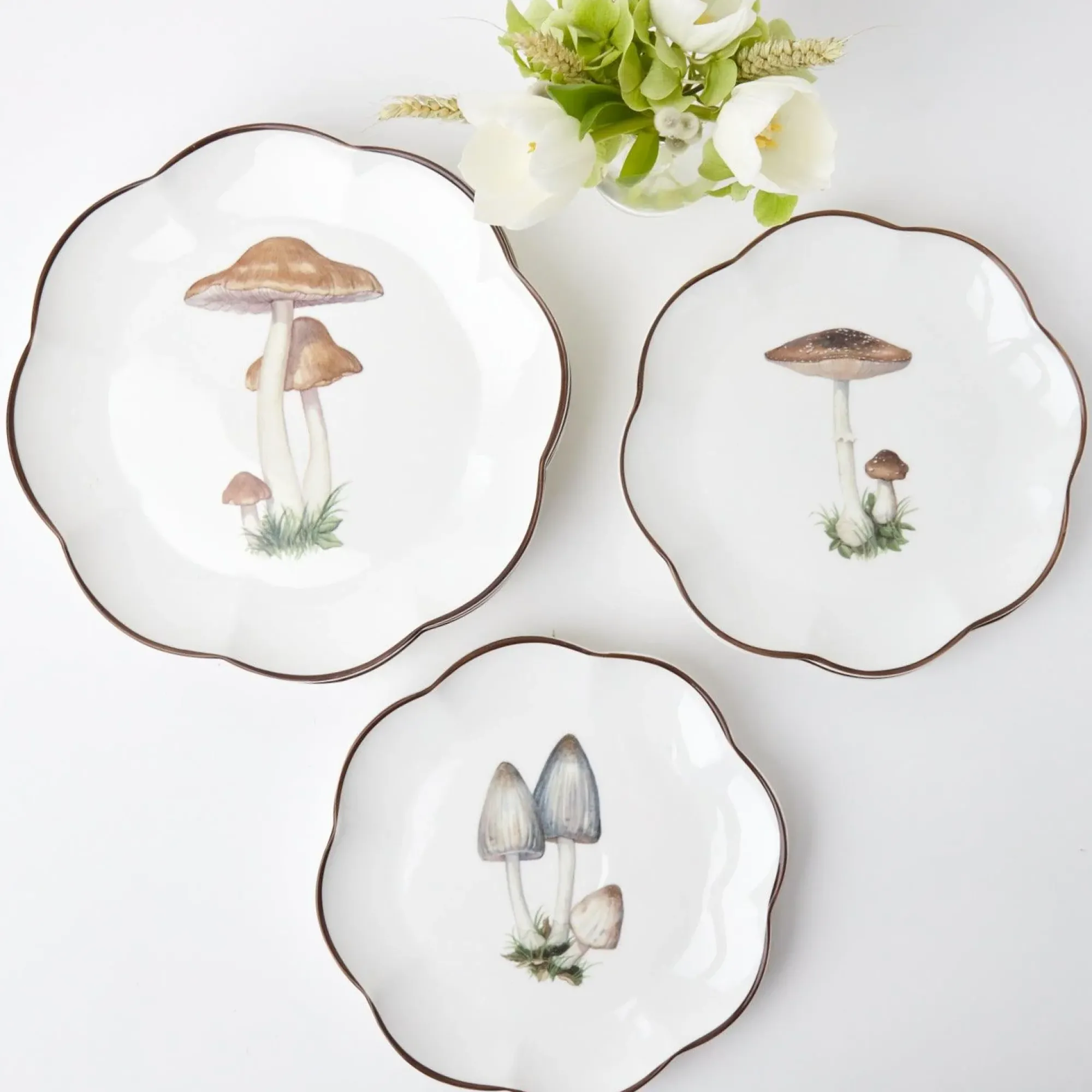 Scalloped Mushroom Dinner Plate (Set Of 4)|Mrs. Alice New