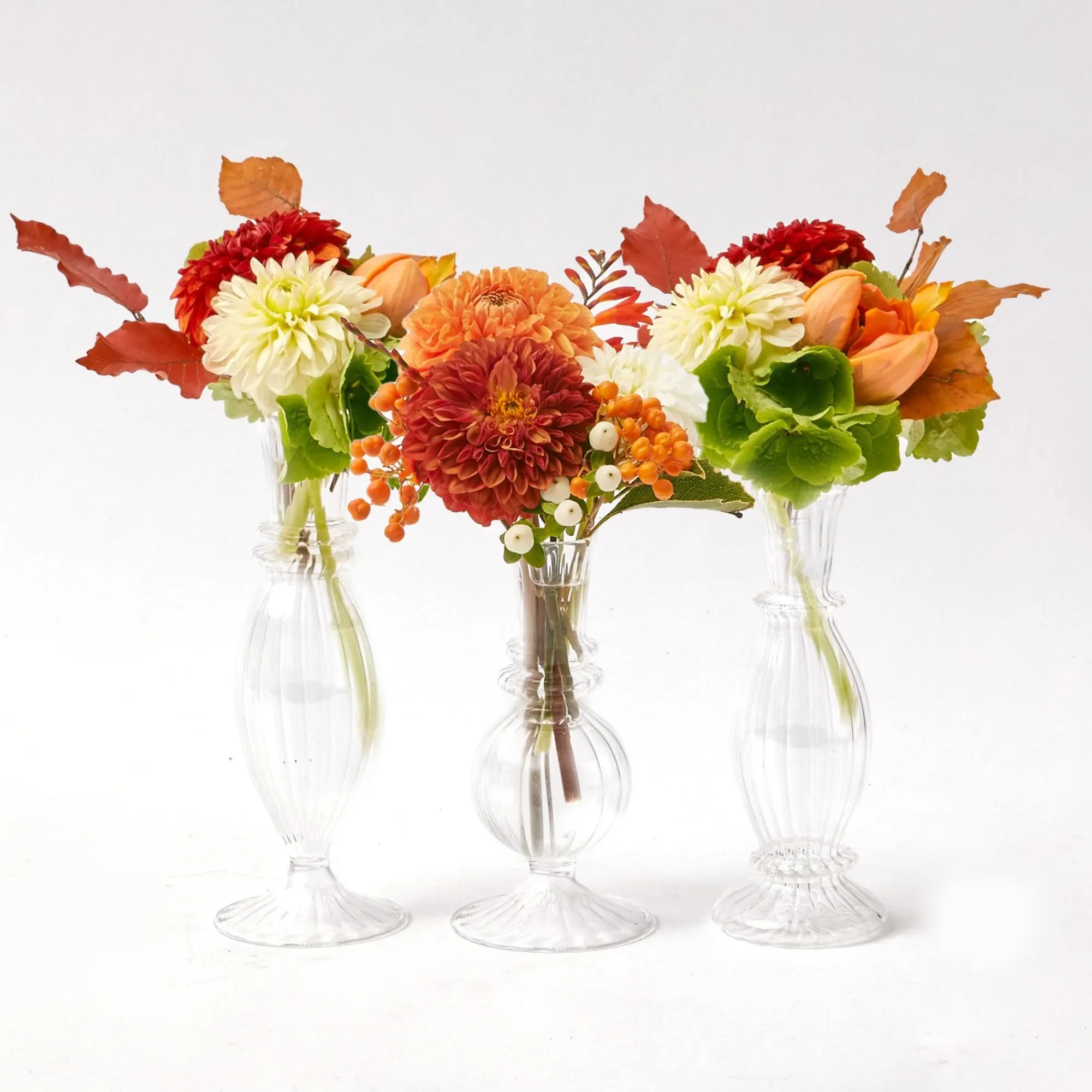 Sofia Bud Vase Set|Mrs. Alice Discount